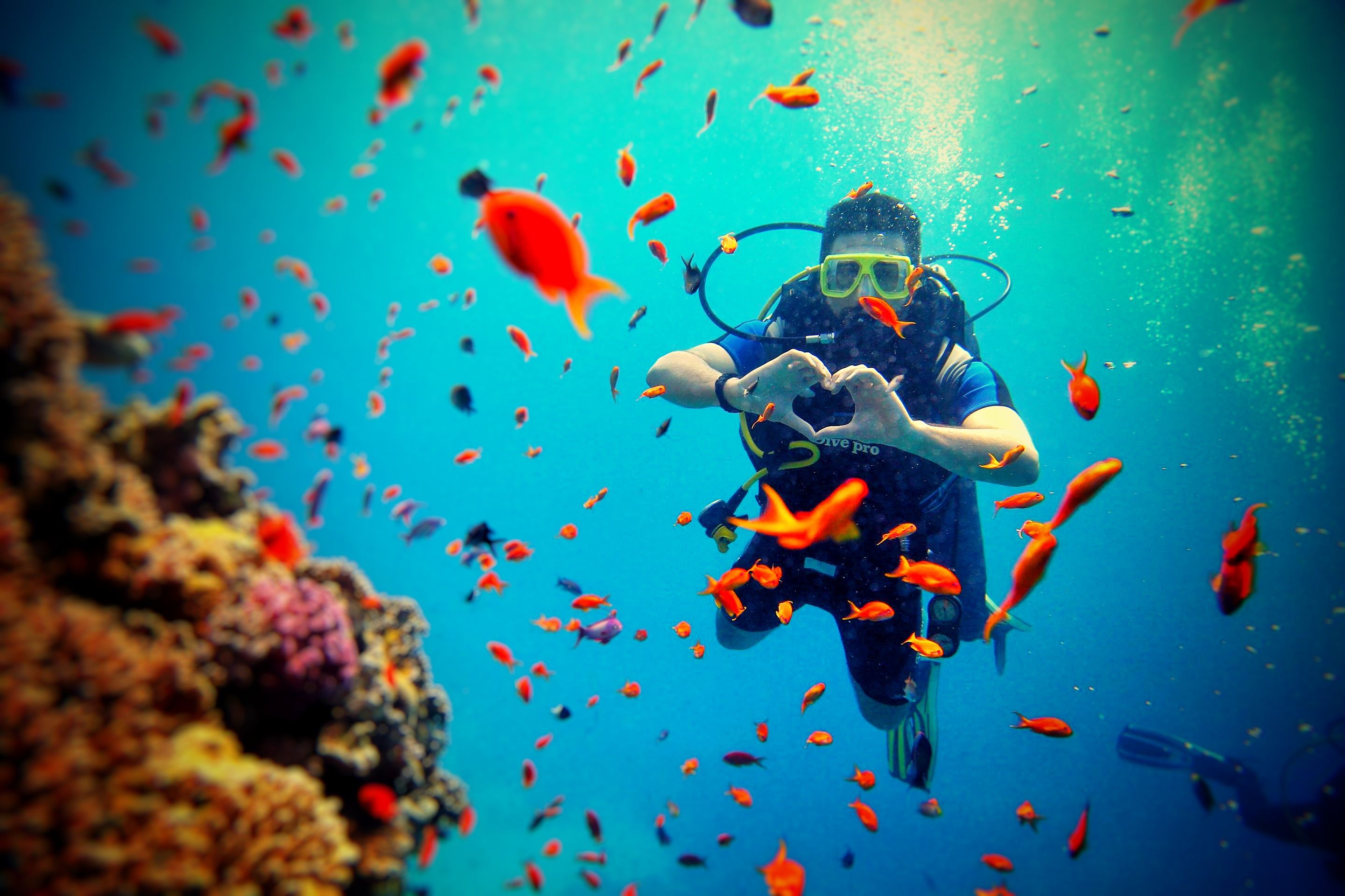 Dive Point Heliana